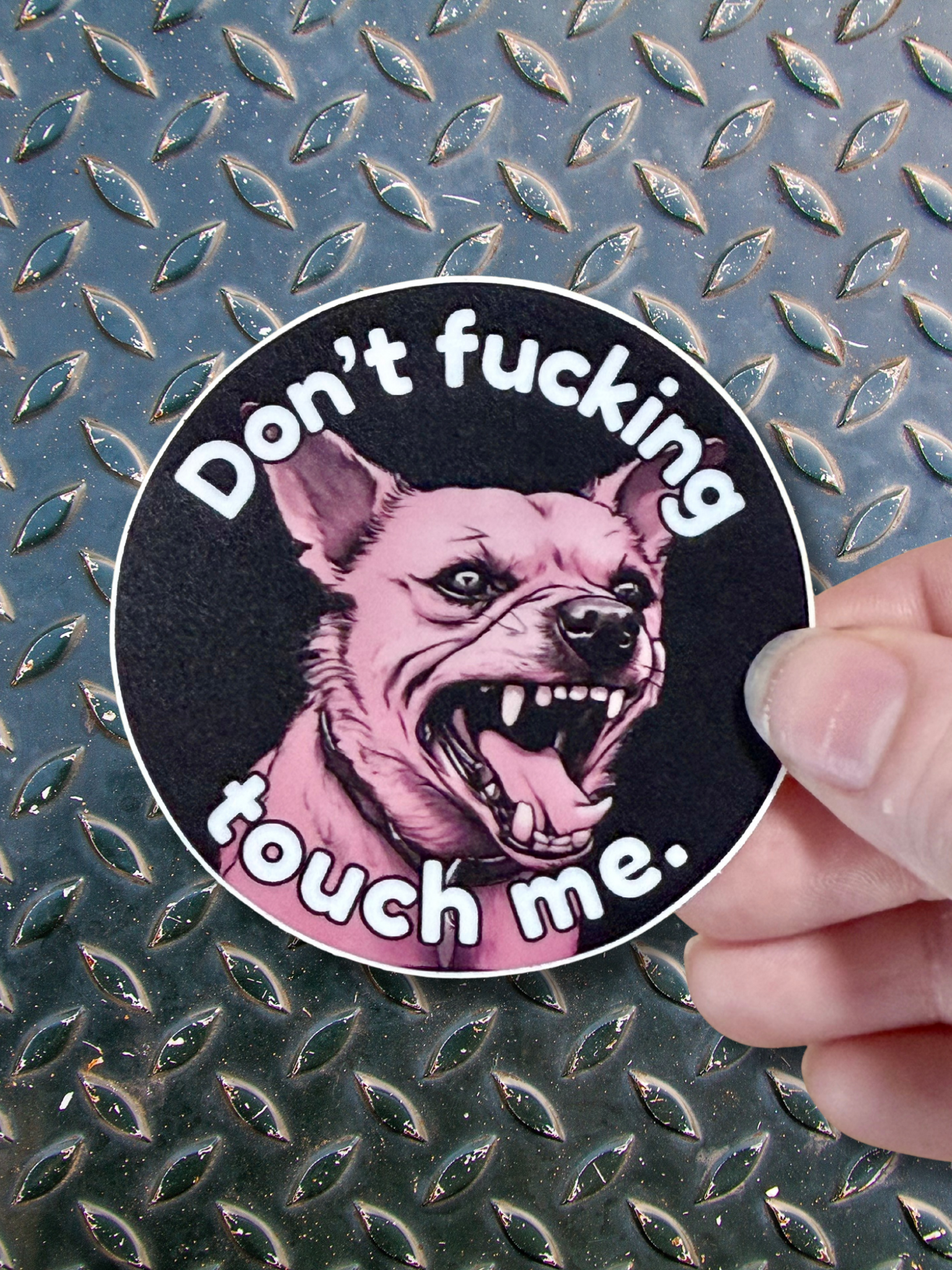 Don’t Touch Mean Puppy Matte Round Sticker