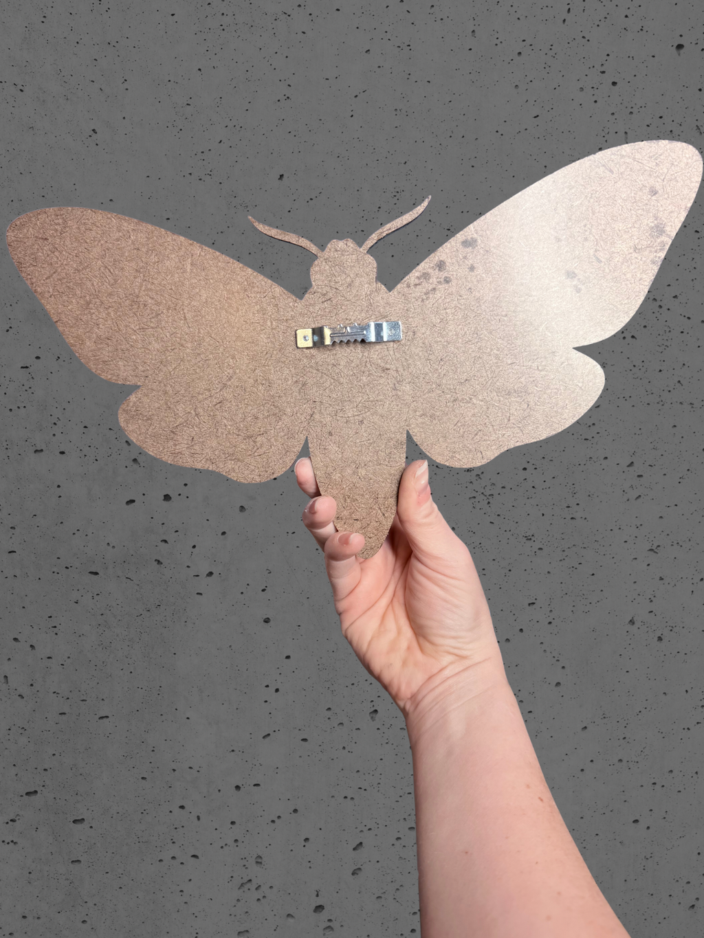Adorrible mirrored moth wall art featuring a detailed, symmetrical design suitable for modern home decor.